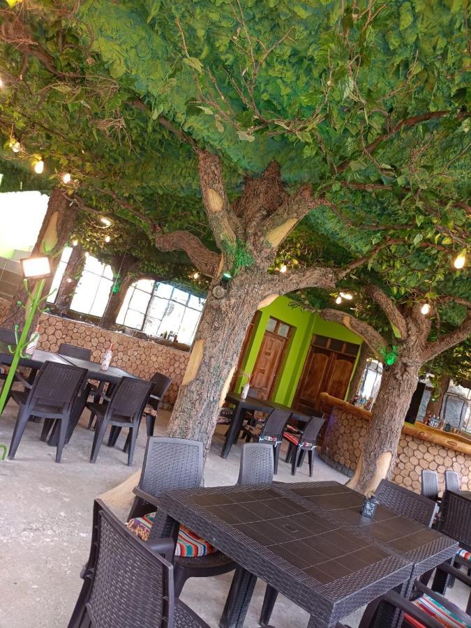 Hostal Torotoro المظهر الخارجي الصورة