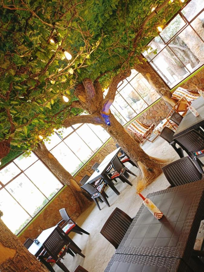 Hostal Torotoro المظهر الخارجي الصورة