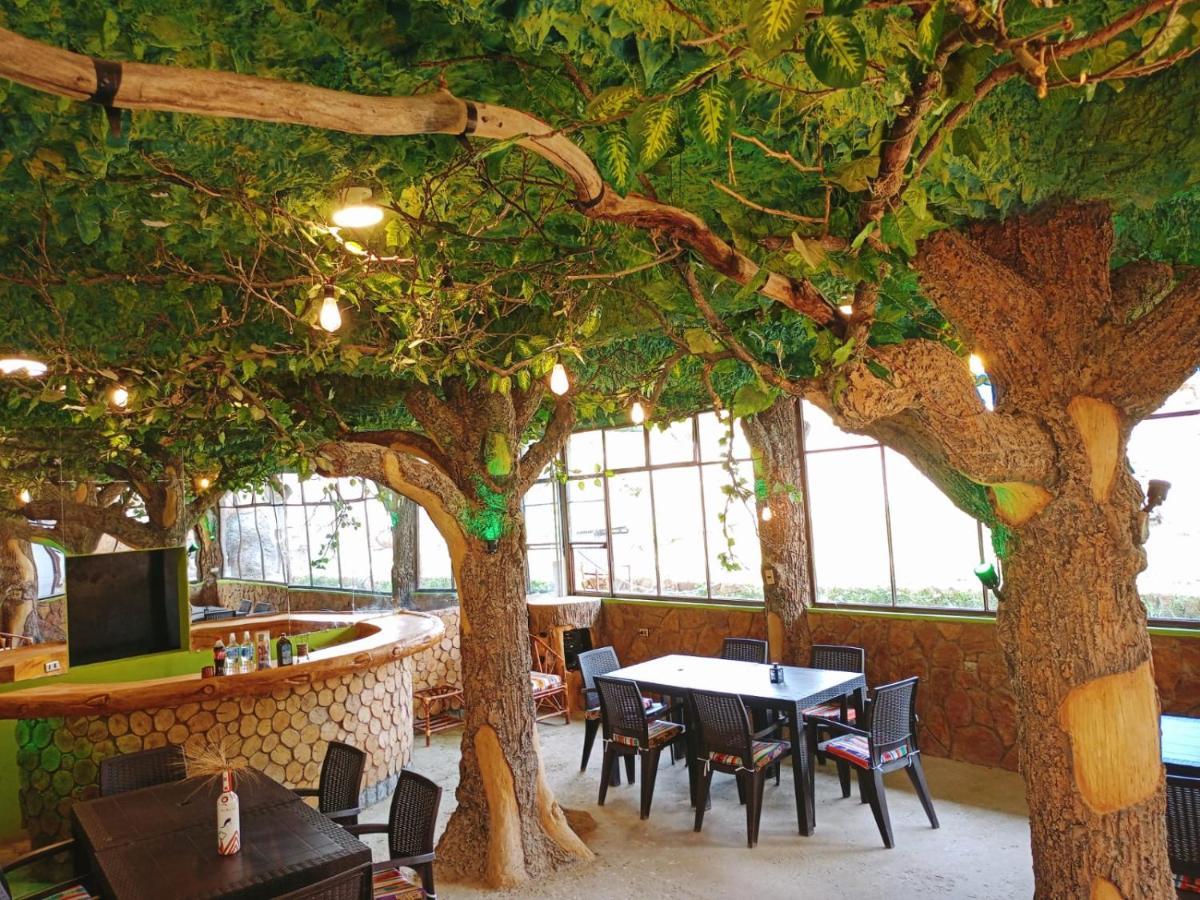 Hostal Torotoro المظهر الخارجي الصورة